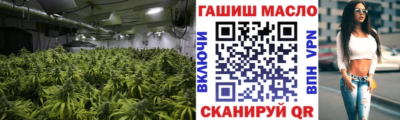 ТГК THC oil  наркотики  Новоузенск 